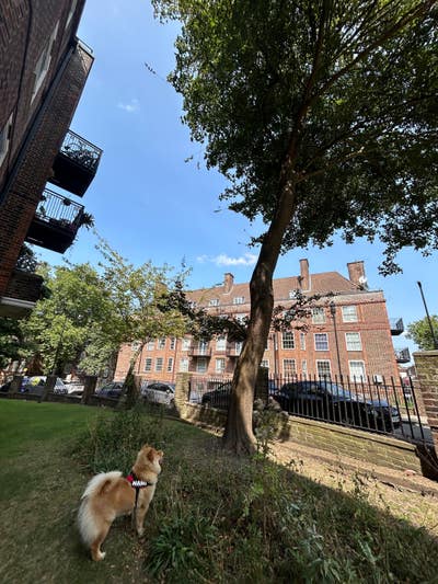 Lovely 2-Bedroom Flat – Clapham Park/Brixton Hill Main Photo