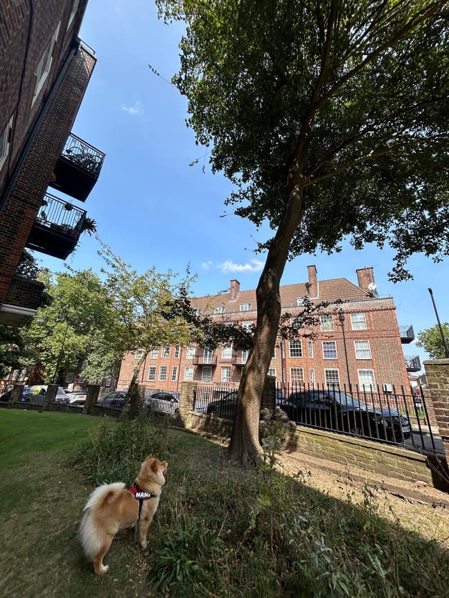 Lovely 2-Bedroom Flat – Clapham Park/Brixton Hill Main Photo