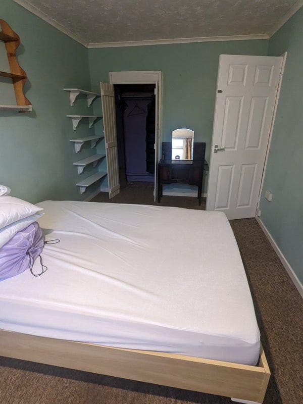 Large double student room for - Must like dogs Main Photo