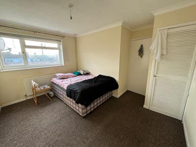 1 double room for female  Main Photo