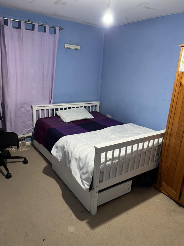 House shearing  Main Photo