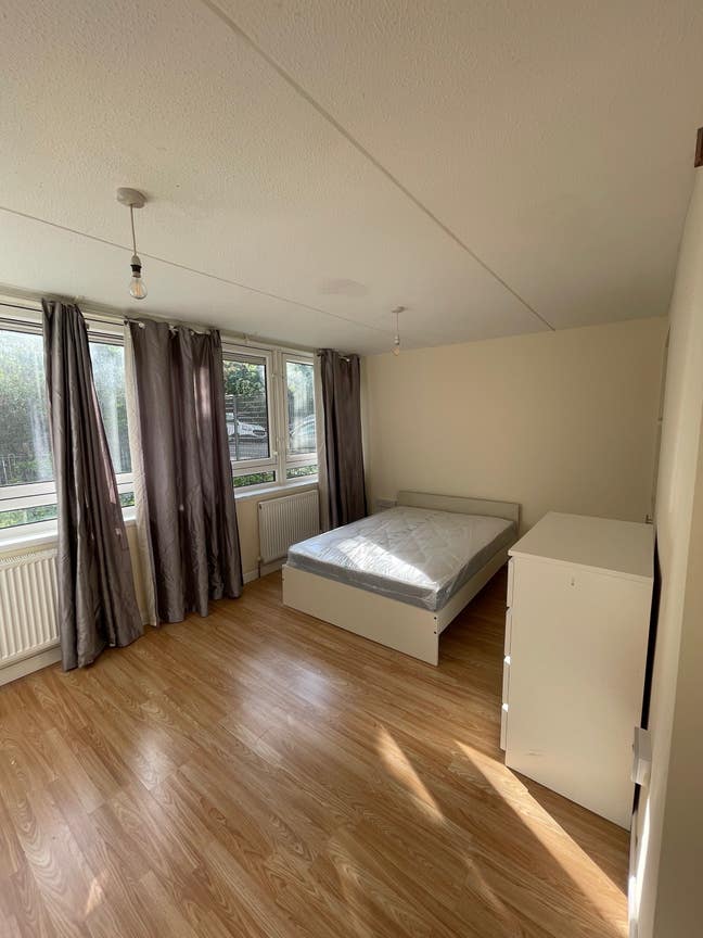 🏡 Spacious 4bed flat near UCL Main Photo