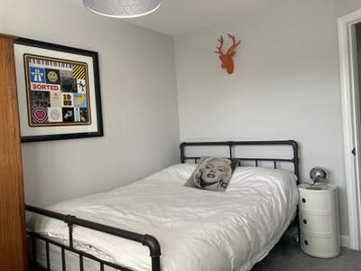 Peaceful Room w/ Garden & Cats – Female Only Main Photo