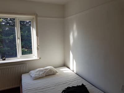 Large double room in Golders Green  Main Photo