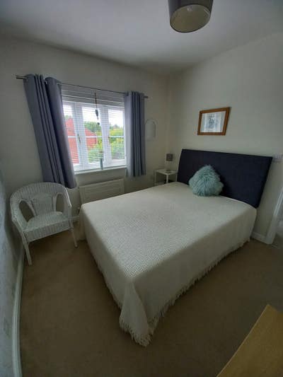 Double Room for Quiet, Non-Smoking Professional Main Photo