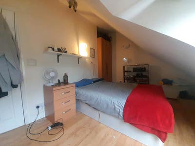 Housemate Wanted to Join Friendly House-share Main Photo