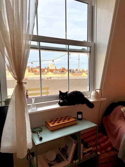 1 sunny bedroom in 2-bed flatshare  Main Photo