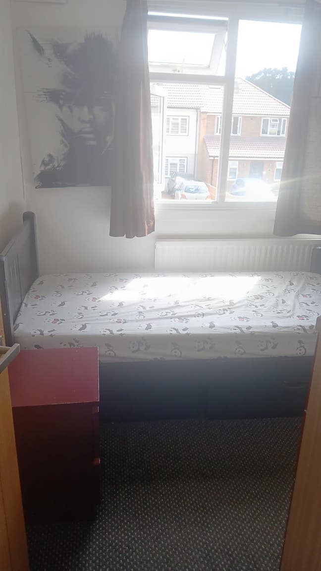 Single room available  Main Photo