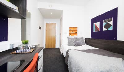 Orion Point room available  Main Photo