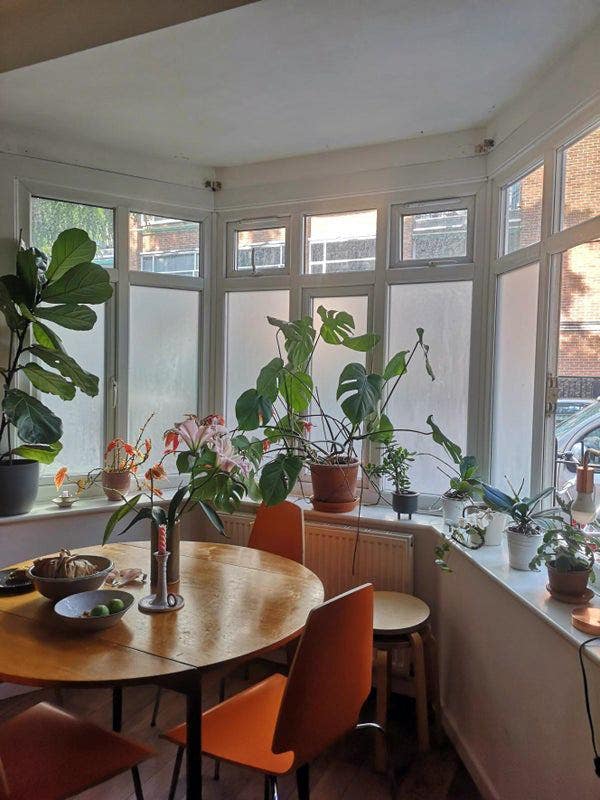 Bright Double Room in Lovely Hackney Flat Main Photo