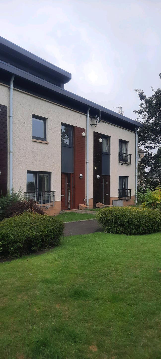 Female Flatmate Wanted to Share Modern Townhouse Main Photo