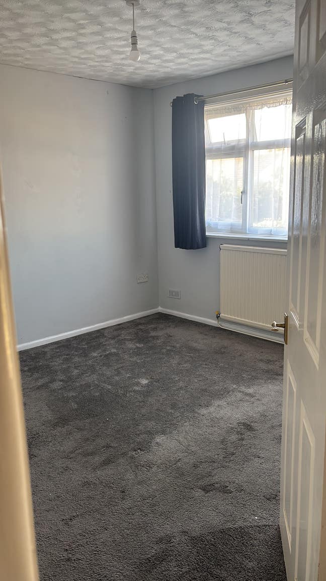 1 double room and own living room available  Main Photo