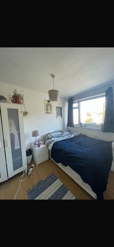 3 Girls Looking For a Friendly Flatmate  Main Photo