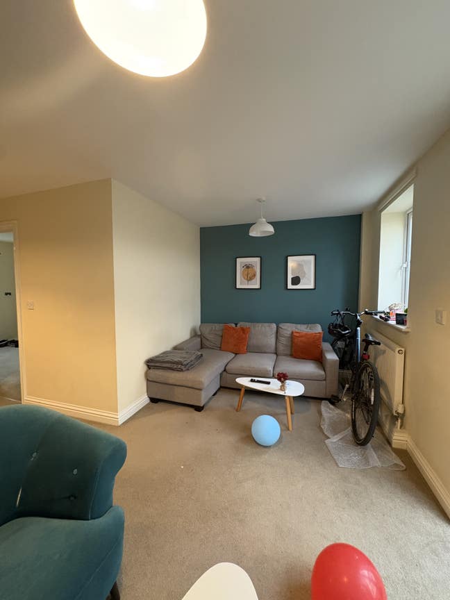 Spare room available - female housemate wanted  Main Photo