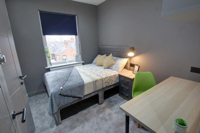 Hassle‑free modern rooms for working professionals Main Photo