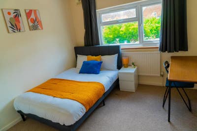 Luxury Rooms Available Now!! - No Deposit! Main Photo