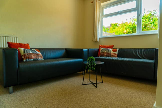 One Room Left in a Luxury House!! Main Photo