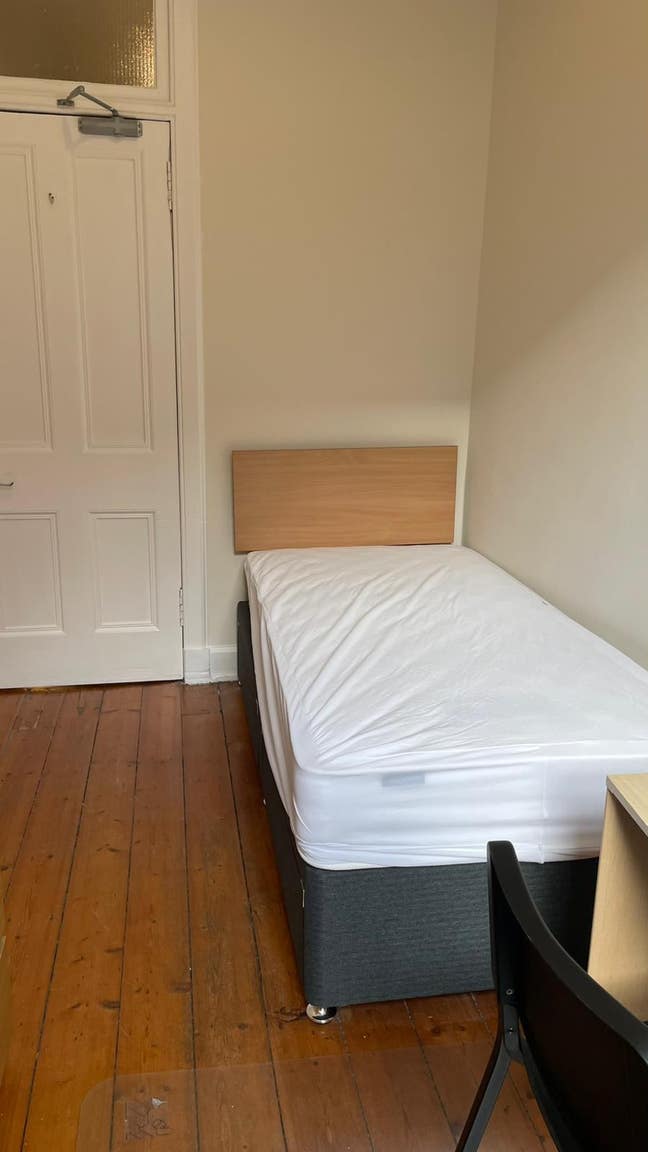 Cute Single Room by The Meadows Main Photo