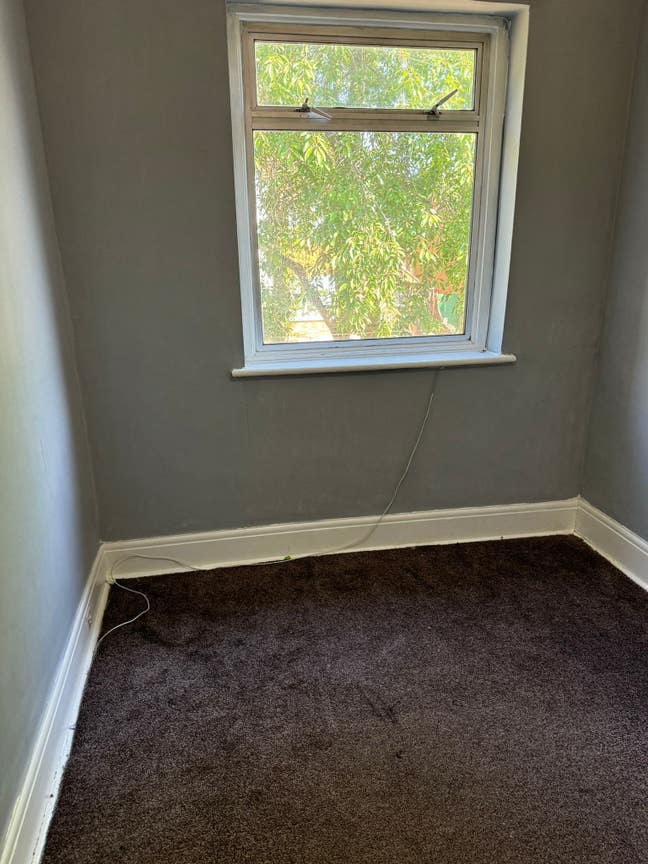 Spacious & Cosy Single Room for Rent TW3  Main Photo