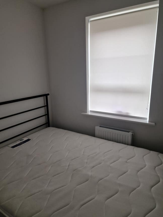 Spacious Ensuite Room for Rent — Quiet, Stylish Main Photo