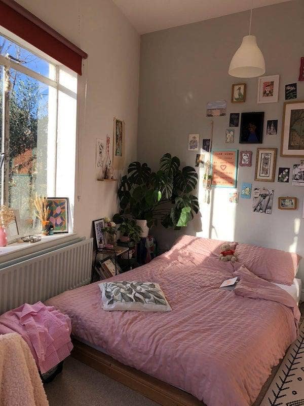 Double bedroom in homely West London house Main Photo