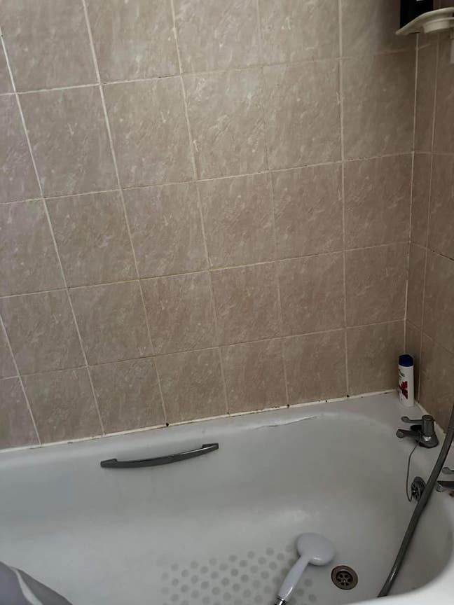 Flat mate Main Photo