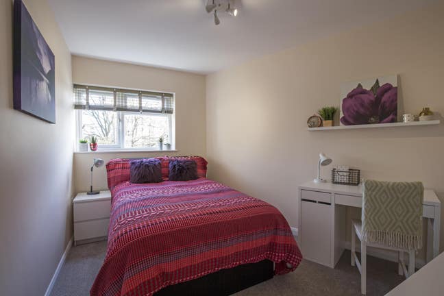Stylish friendly houseshare, lovely garden & shed Main Photo