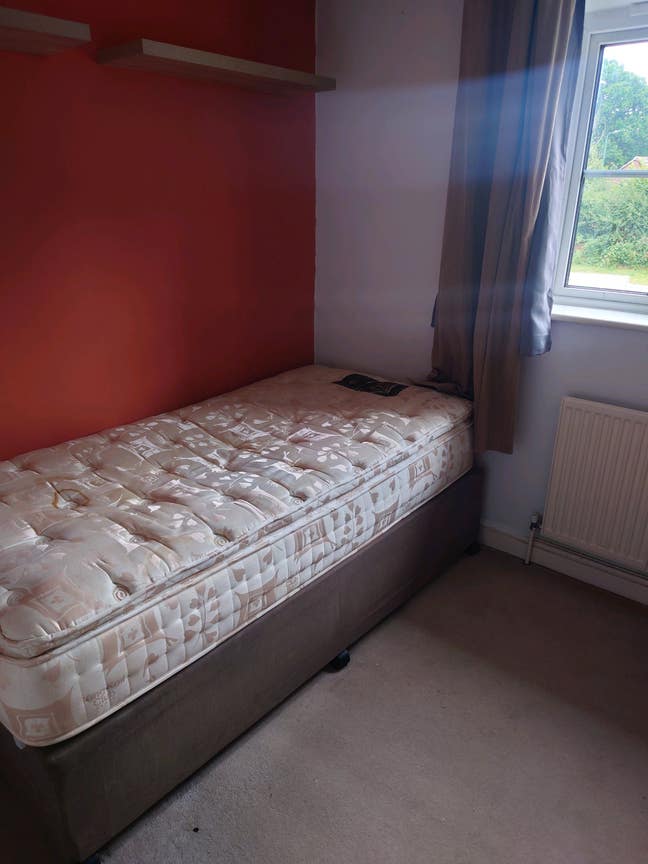Single Room in shared house  Main Photo