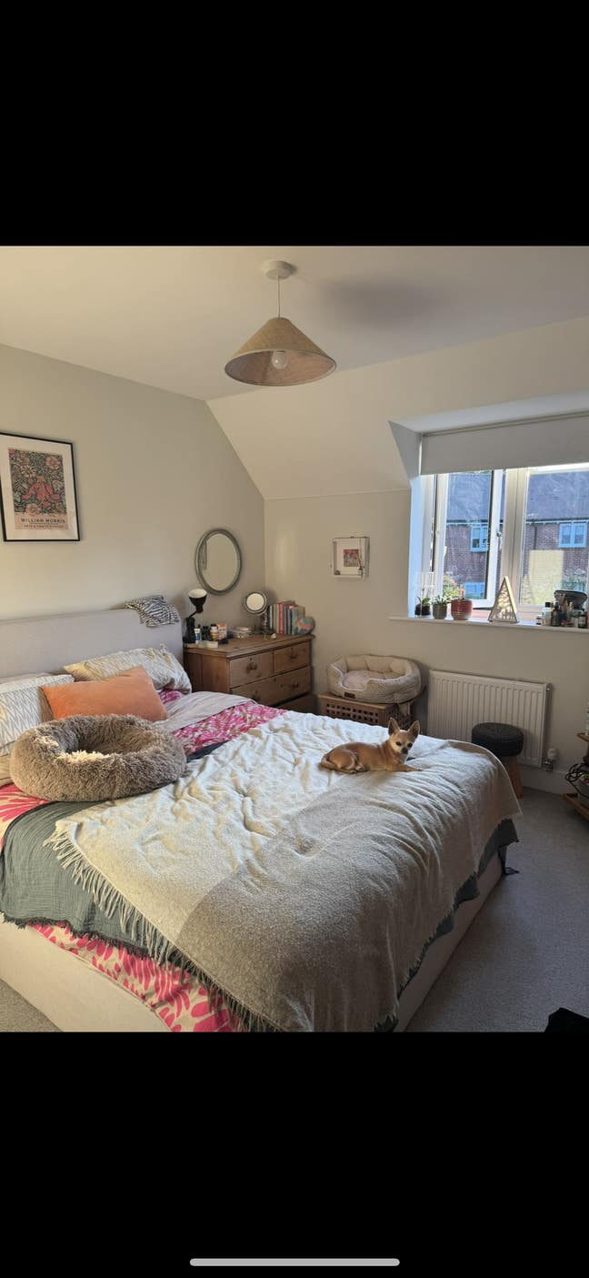 Double bedroom house share / room rent  Main Photo