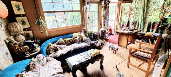 Mon-Fri or part timd Home with pets single  NW9   Main Photo