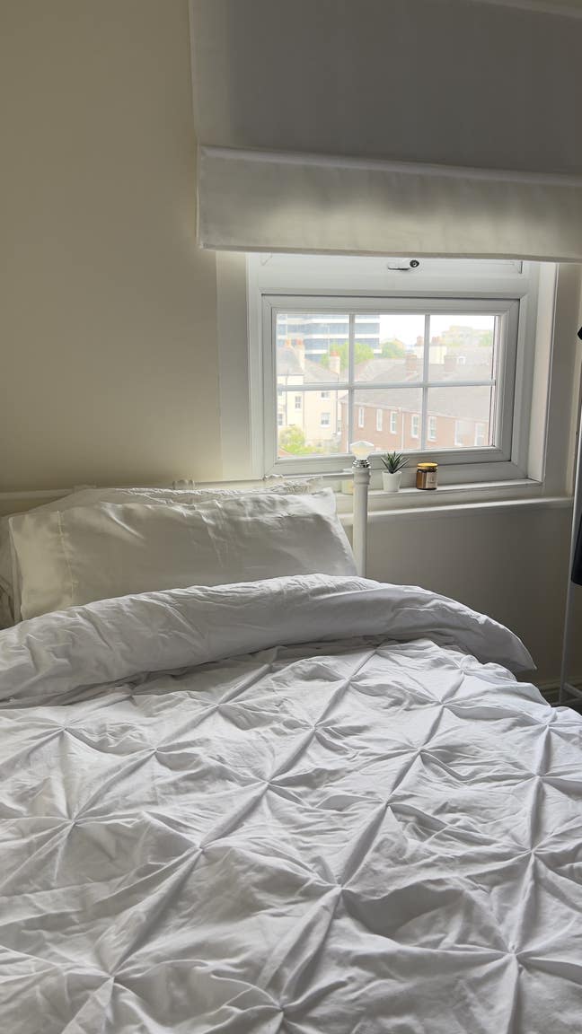 Looking for a professional flatmate Main Photo