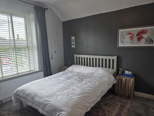 Spacious Double Bedroom - Sunninghill  Main Photo