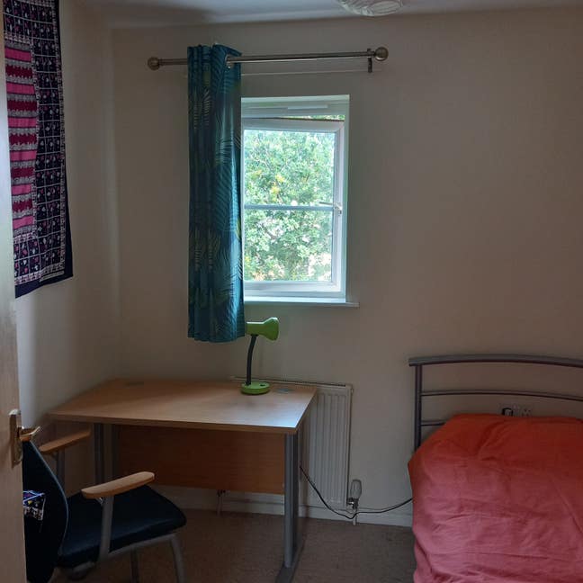 Single room in animal friendly house Main Photo