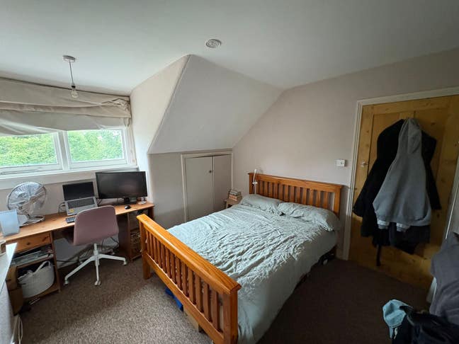 Double room in friendly flat  Main Photo