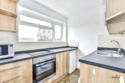 Studio Apartment - Available August!  Main Photo