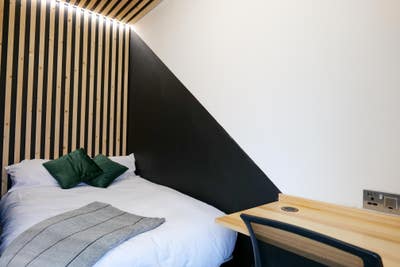 Newly Renovated Rooms 🛠️ Close to Hospitals  🏥  Main Photo