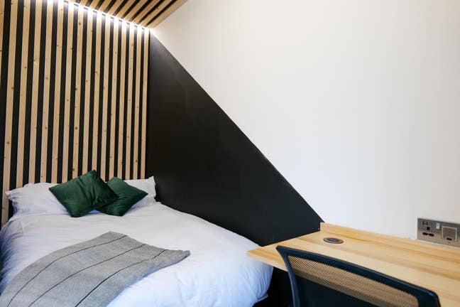 Newly Renovated Rooms 🛠️ Close to Hospitals  🏥  Main Photo