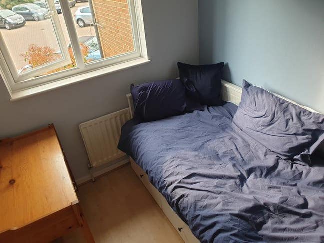 Looking for a lodger Main Photo