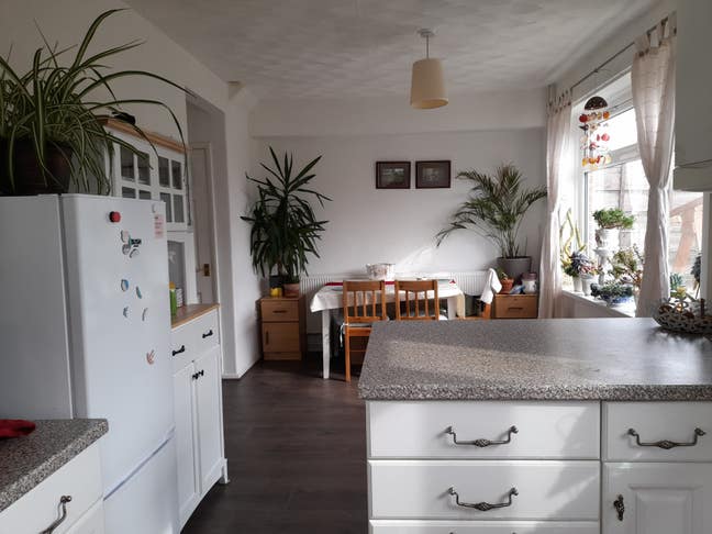 House  p Main Photo