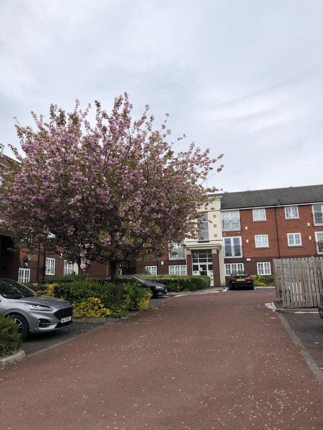 Double Room in 2-Bed Flat – close to Uni & Lime  Main Photo