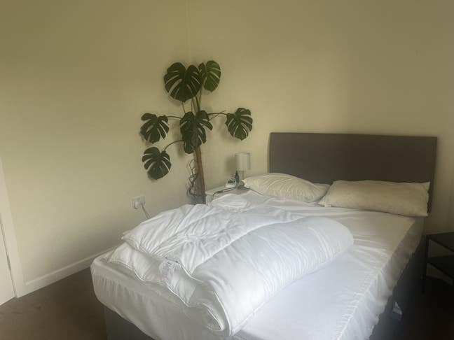 Double Bedroom in Crown Flat (6 months) Main Photo