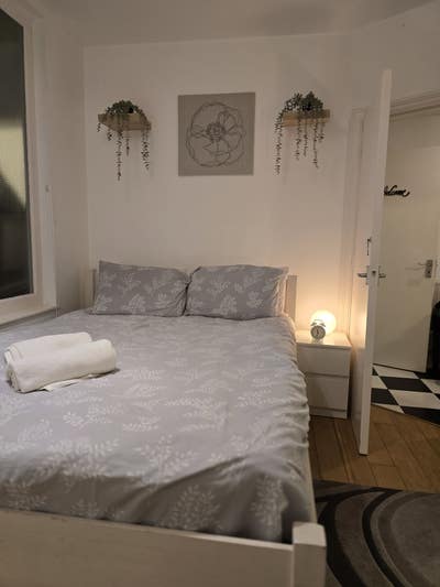 Lovely basement flat in Fulham Main Photo