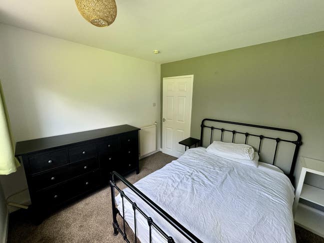 Room for rent in Newlands/Shawlands Main Photo