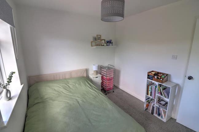 Double Room in Whitefield /parking (and cats) Main Photo