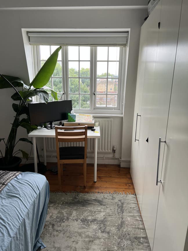 Bright Double Room in Leafy Flat  (Aug 9-22)  Main Photo
