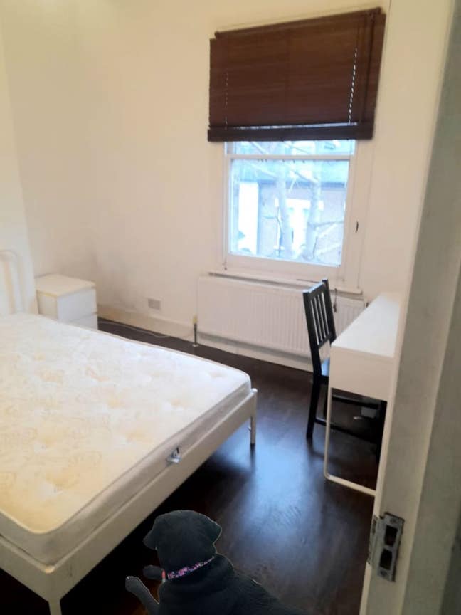 Room by hove station  Main Photo