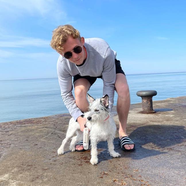 27 y/o professional + small dog looking for room Main Photo