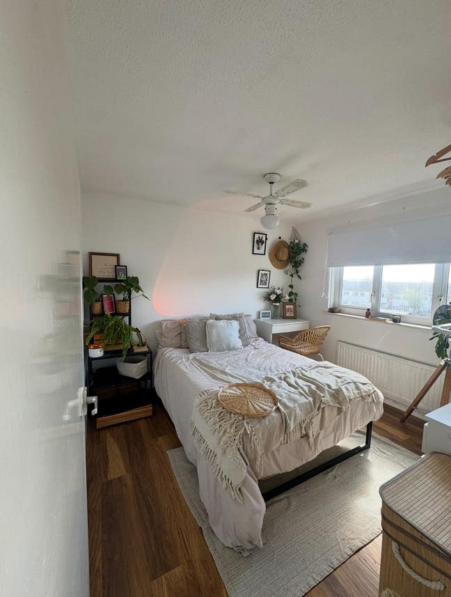 Room for rent in a bright sociable household.  Main Photo