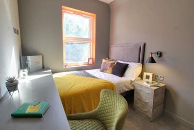 Hassle-free modern room for working professionals  Main Photo