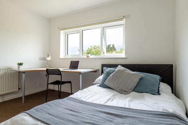 Large Double in Professional Filton houseshare Main Photo